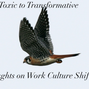 From Toxic To Transformative. Thoughts On Work Culture Shifts.