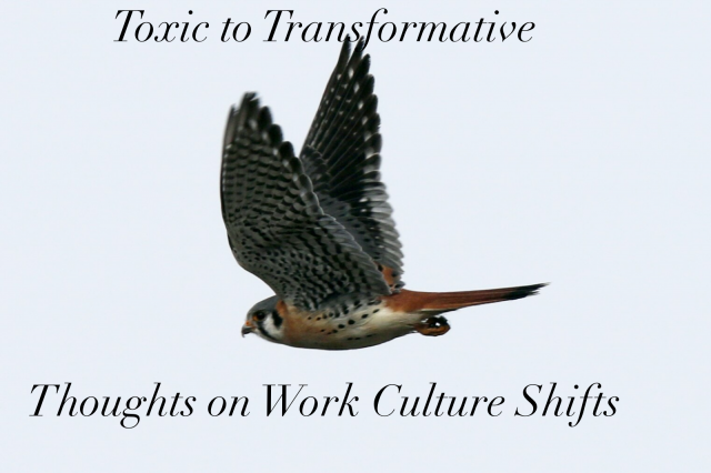 From Toxic To Transformative. Thoughts On Work Culture Shifts.