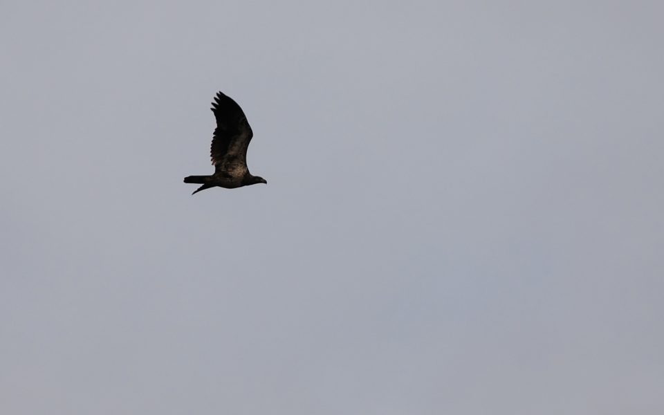 File000546940534